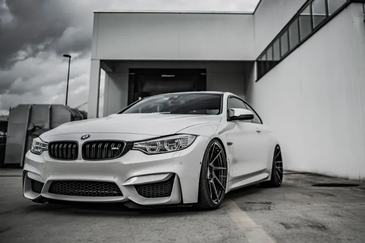 Z-Performance Gallery 5